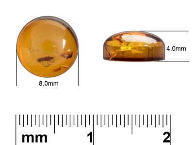 Natural Amber, Round Cabochon, 8mm - Standard Image - 4