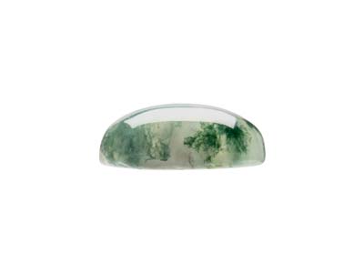 Moss Agate, Oval Cabochon 10x8mm - Standard Image - 2