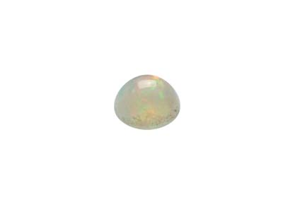 Opal, Round Cabochon, 1.75mm - Standard Image - 3