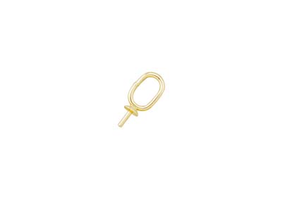 9ct Yellow Gold Pendant Cup 2mm    With Oval Ring