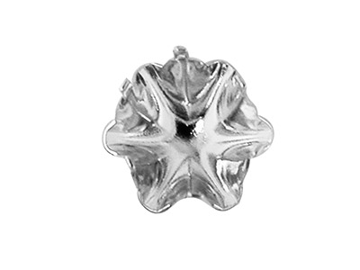Sterling Silver Claw 6mm,          Pack of 10, Buttercup Ear Stud - Standard Image - 2